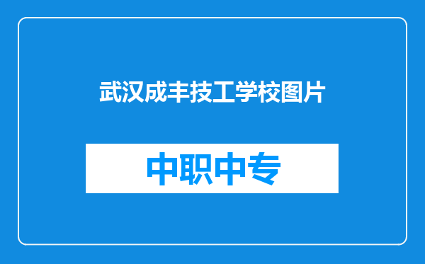 武汉成丰技工学校图片